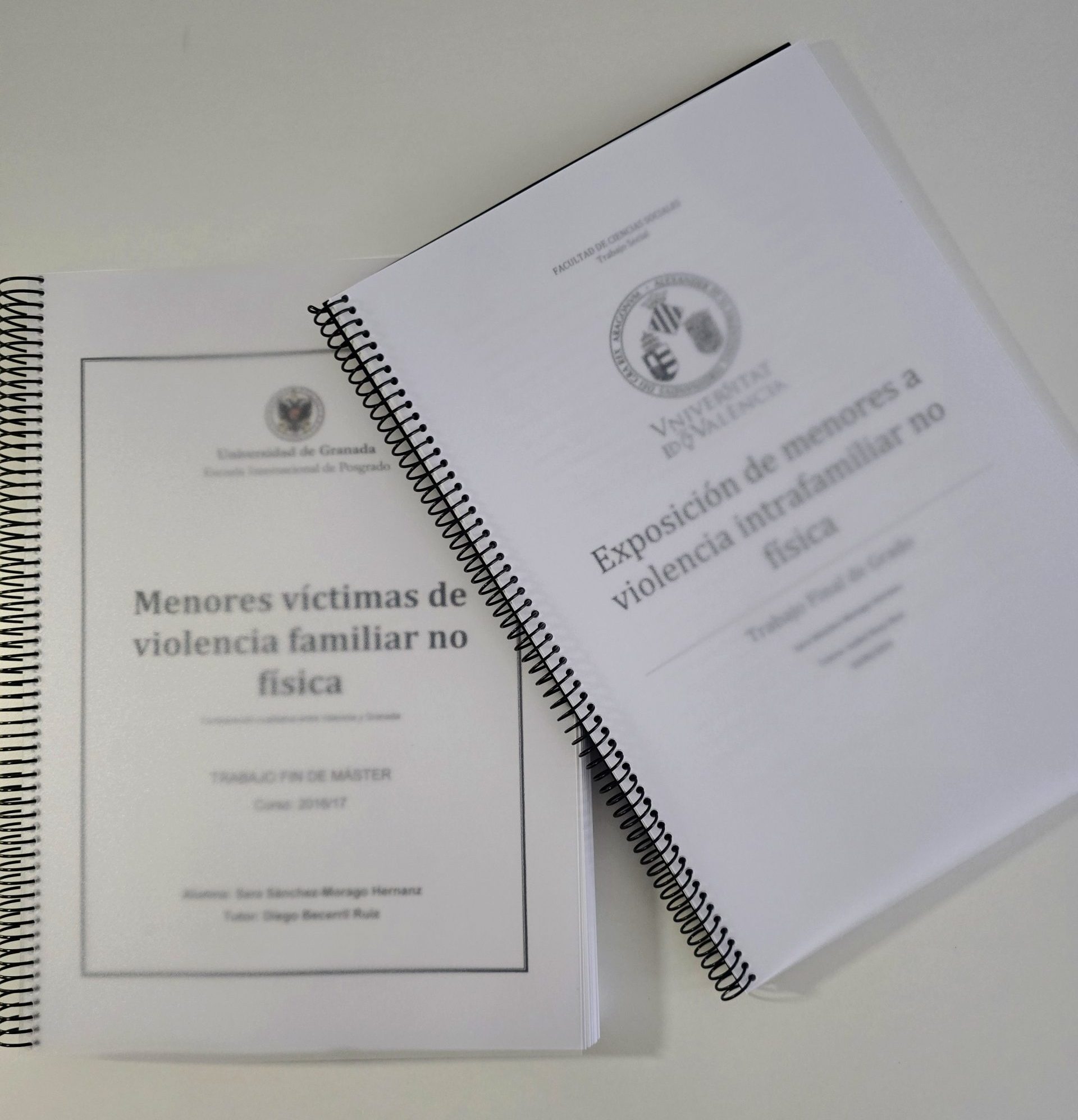 TFG y TFM sobre violencia intrafamiliar no física