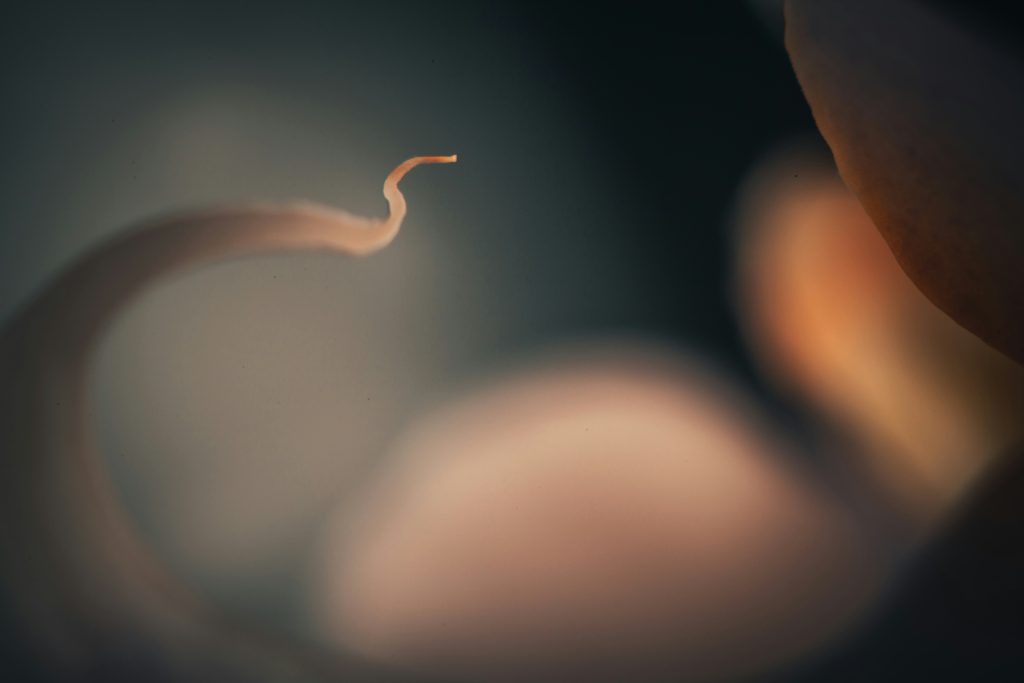 raimond klavins hligqtyk6tw unsplash